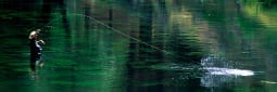 CalTrout Blue Ribbon Waters