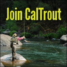 CalTrout's Email List