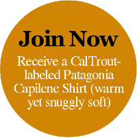 GTC Patagonia Capilene Badge GTC Patagonia Capilene Badge