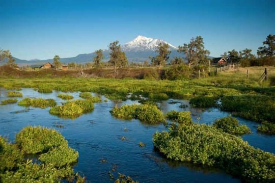 Shasta River by Val Atkinson