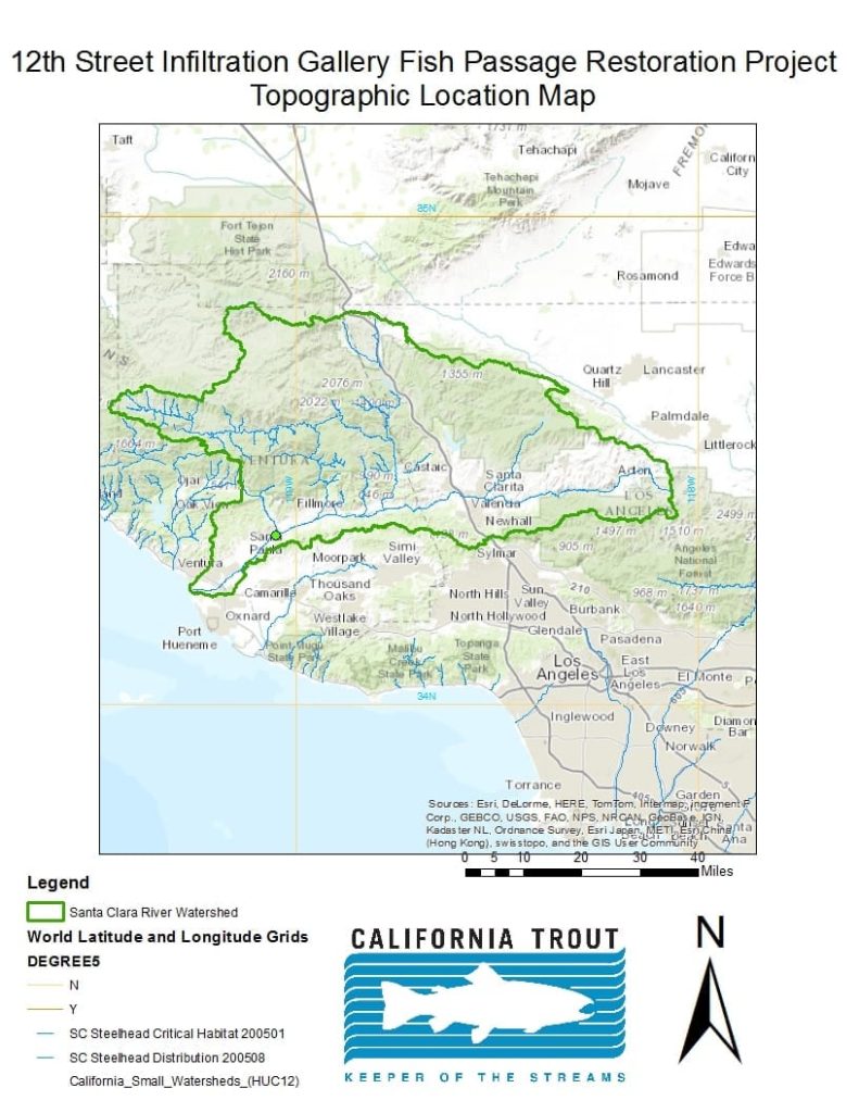 Santa Clara River Steelhead Coalition Update