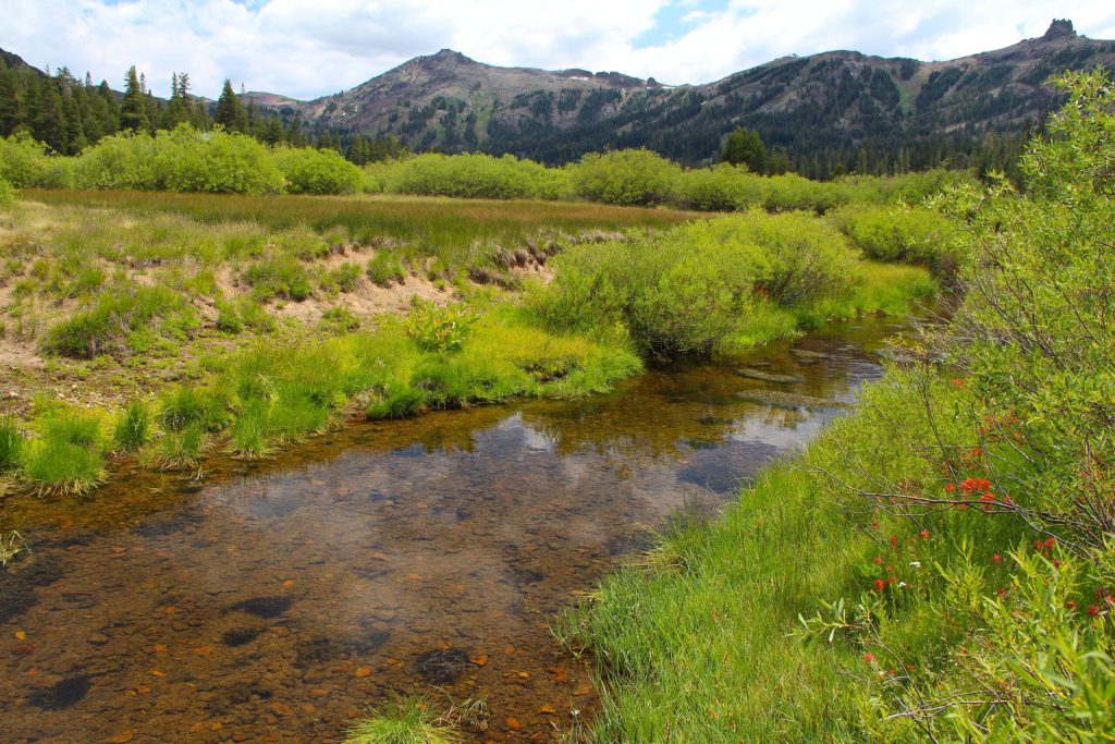 CalTrout Combating Climate Change