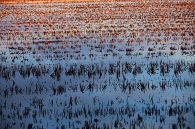 pilot floodplain projects