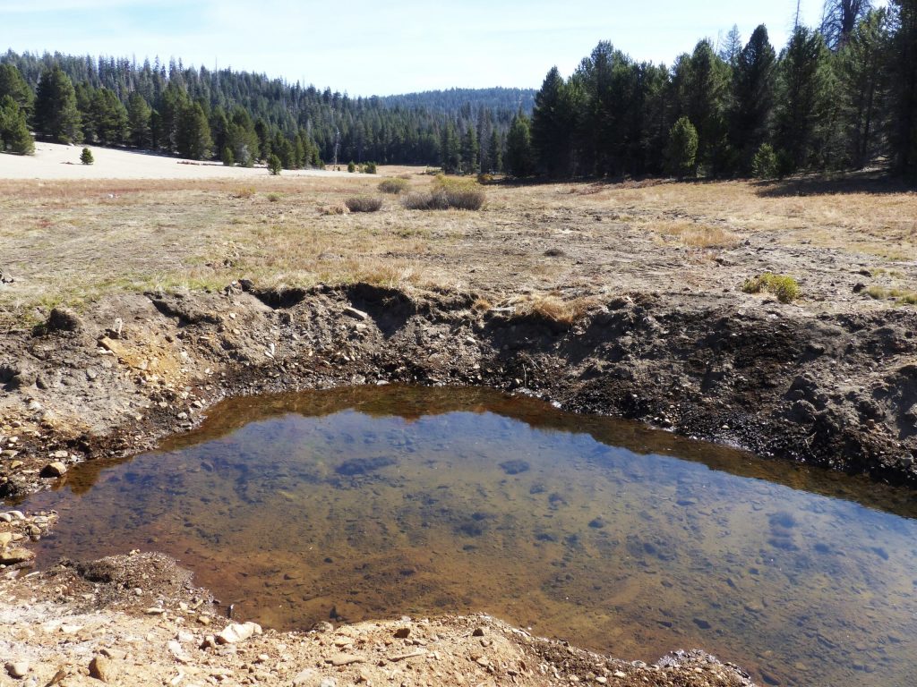 Ecological restoration complete for Osa Meadow carbon sequestration project