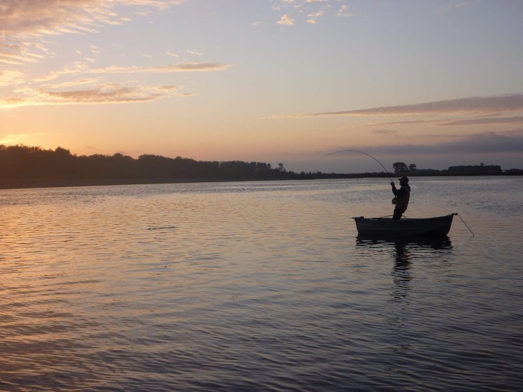 New FERC appointments and potential environmental impacts
