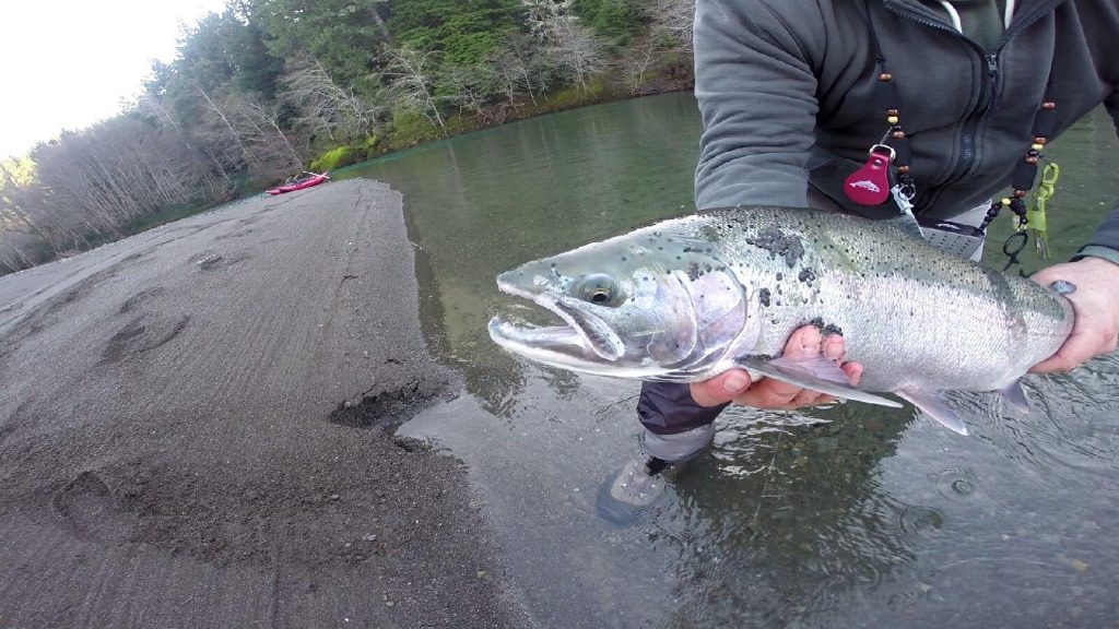 Stories from the Eel River