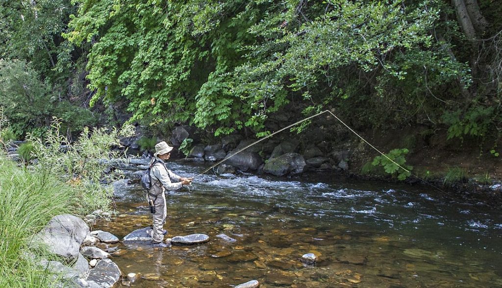 Welcoming Veterans from Project Healing Waters to Trout Camp