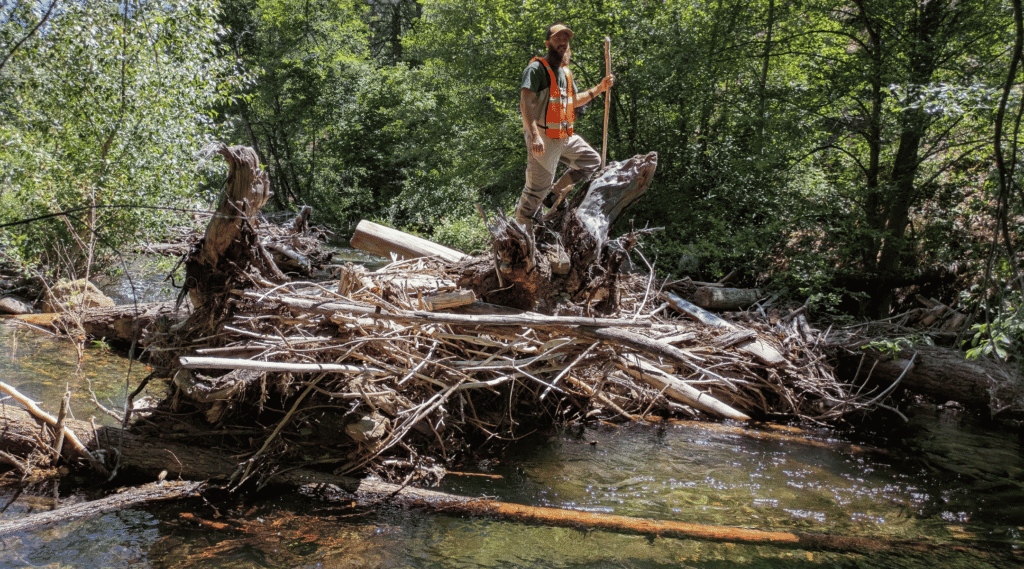 Instream Restoration Complete for South Fork Scott River