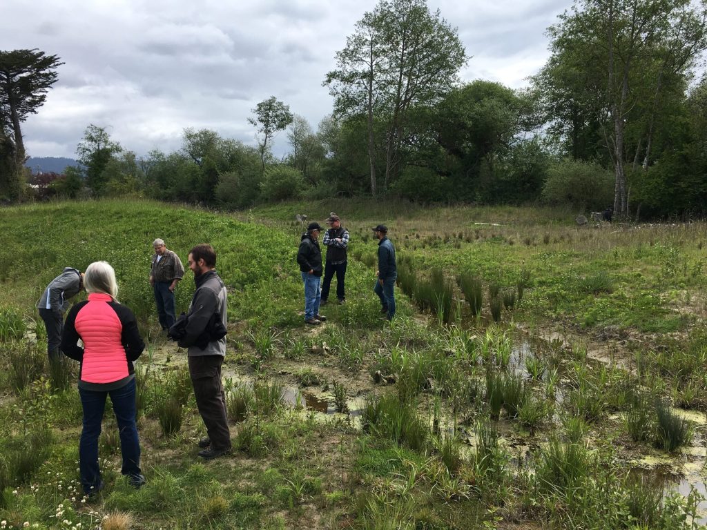 Restoration tour of Eel River Watershed