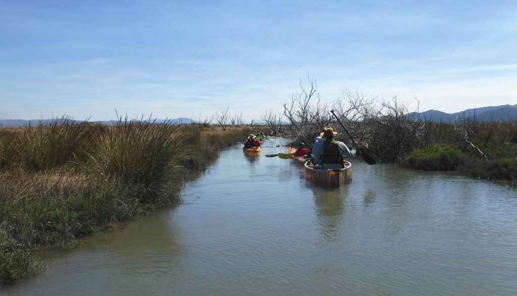 CalTrout’s Outreach and Community Action Paddling Tour of the Eel River Estuary