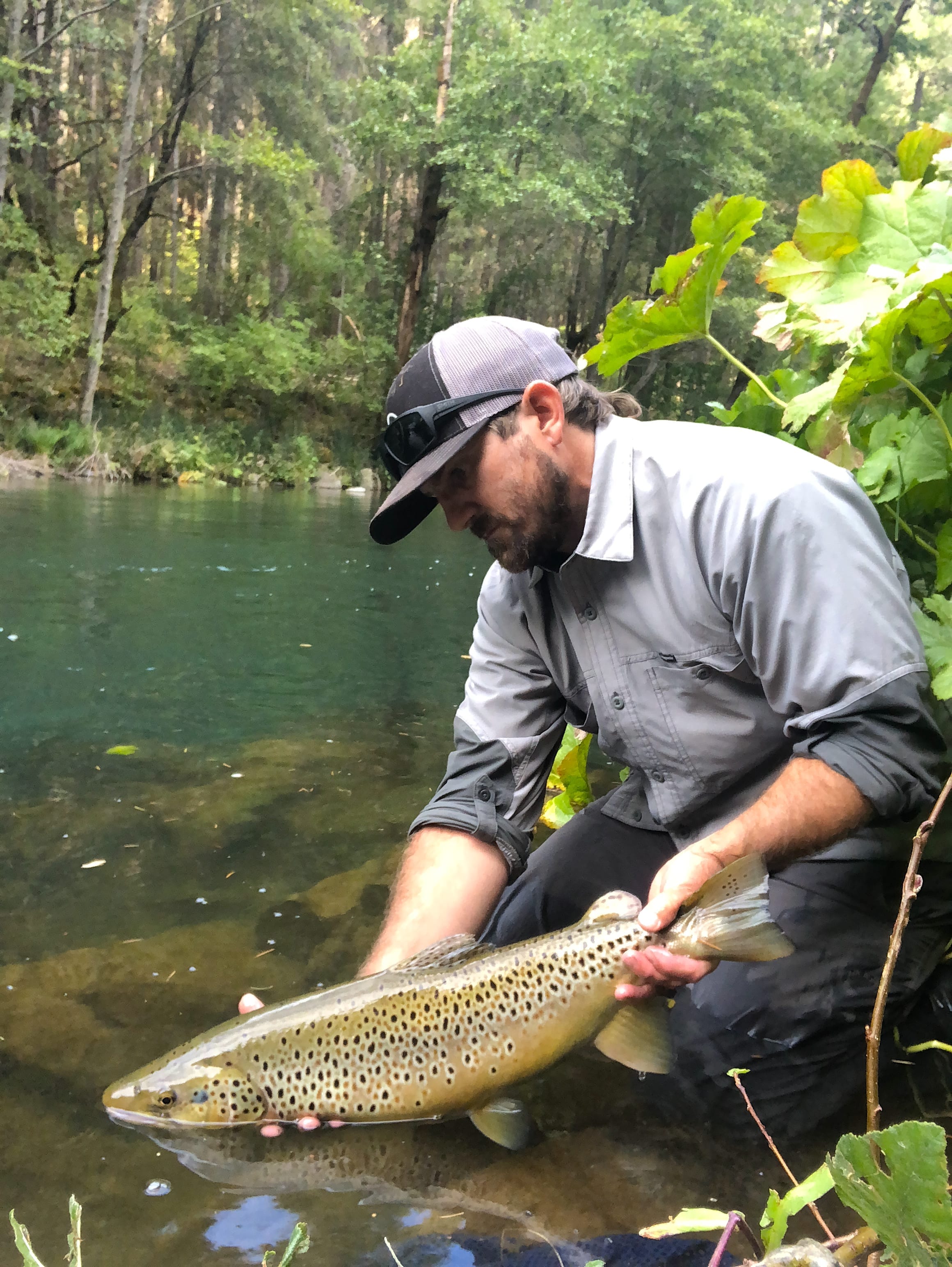 Fall Fly Fishing Report 2018