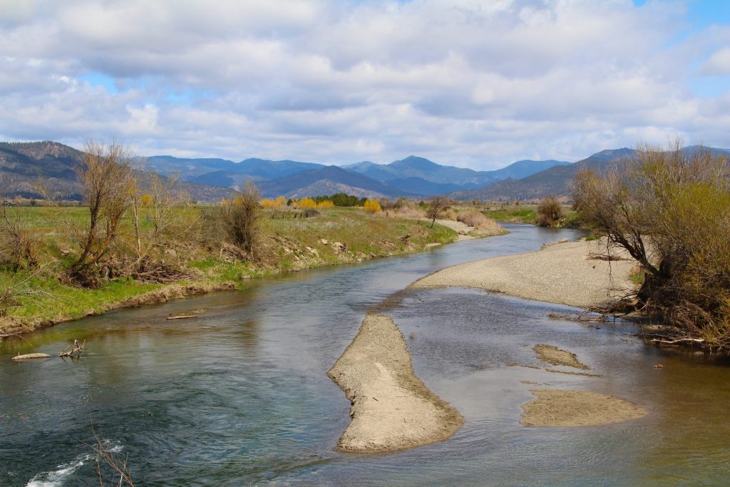 Public Trust Doctrine Protects Salmon and Steelhead Habitat on the Scott River