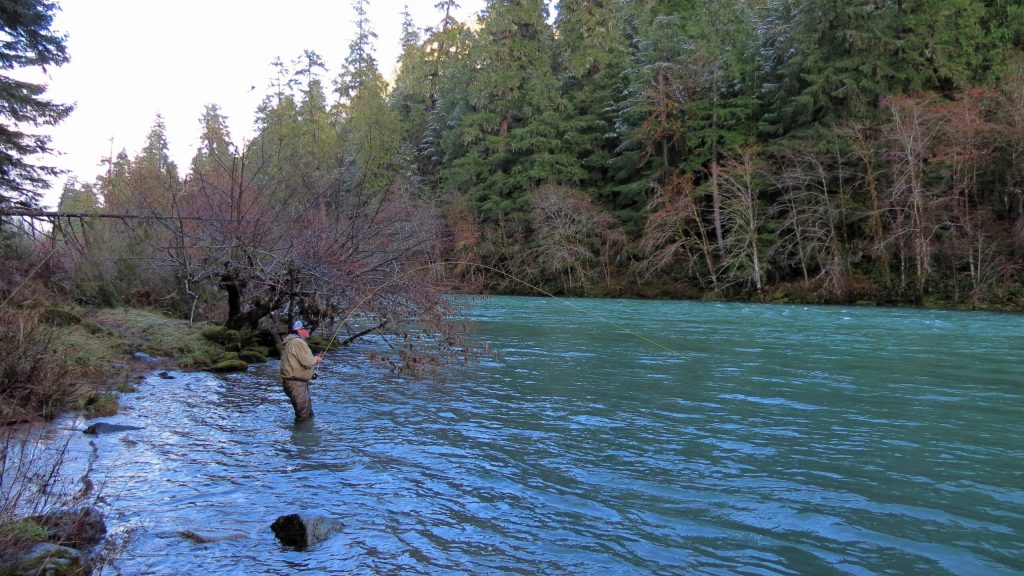 Wednesday’s Wild and Wet Winter – Week 4