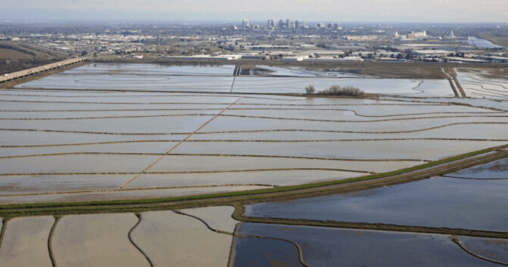Applauding the Funding in the California State Budget to Help Reactivate Floodplains in the Central Valley