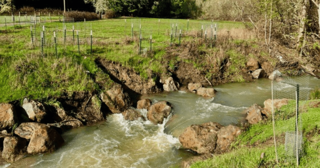 Upper Green Valley Creek Selected as one of 2019’s 10 Waters to Watch