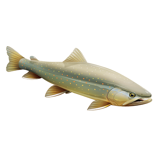 https://caltrout.org/wp-content/uploads/2019/07/fish-_0010_bull.png