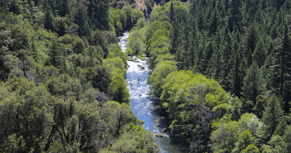 Notice: Higher Flows on Pit 5 Reach Over Two Weekends