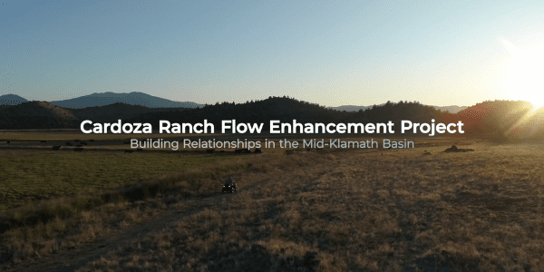 Cardoza Ranch Flow Enhancement Project