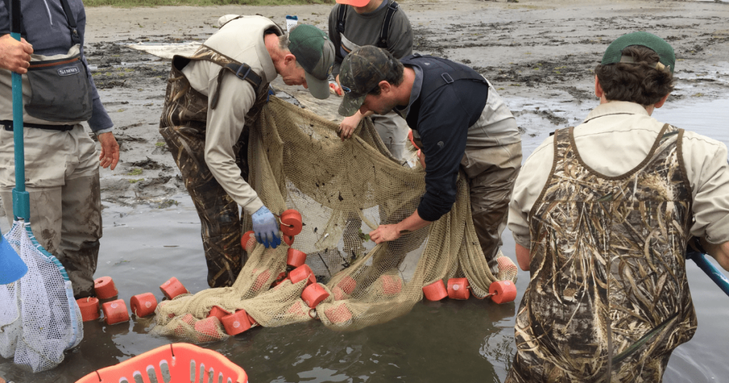 Field Notes: Pescadero PIT Tag Array Installation Pilot Project
