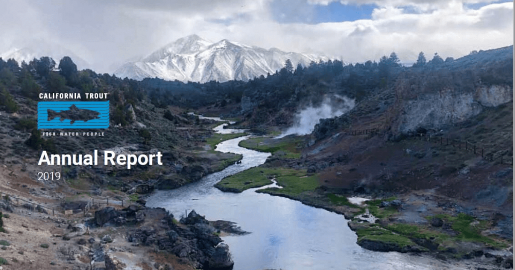 2019 Annual Report is Out