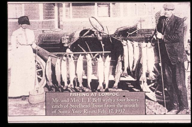 Santa Ynez River Steelhead c. 1920