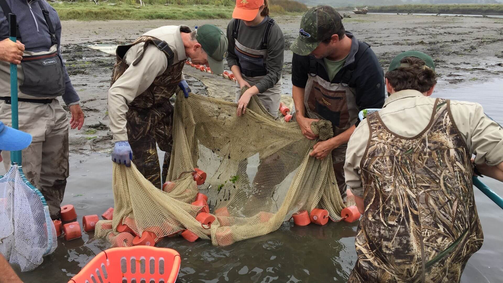 Donate Your Spare Change | California Trout
