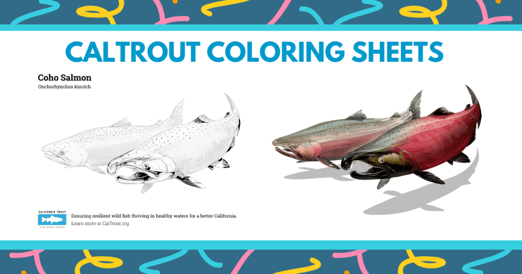 CalTrout Coloring Sheets