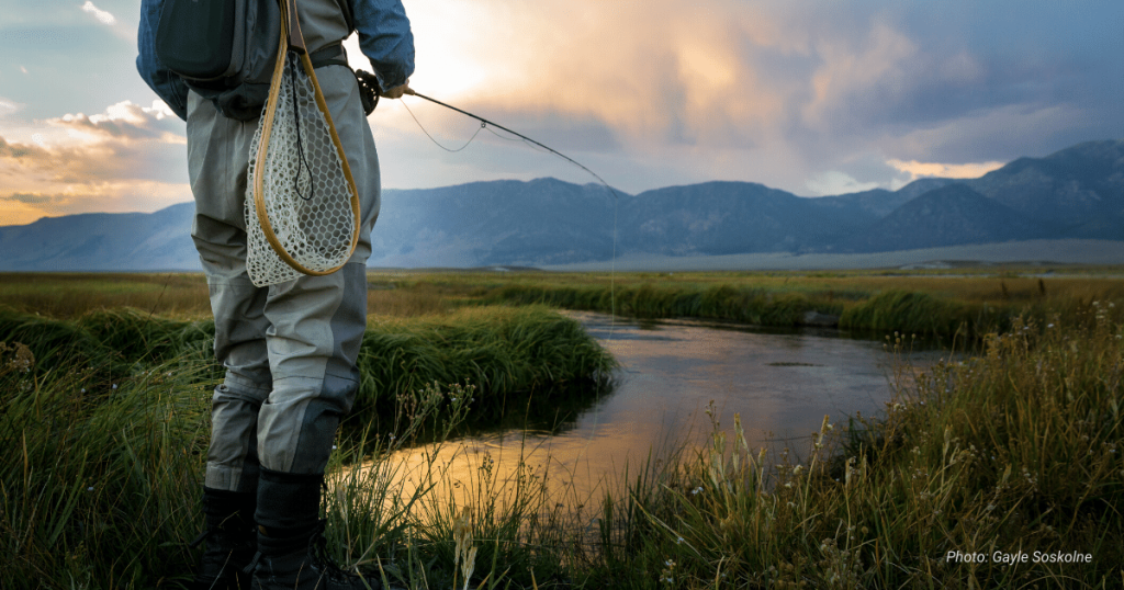 Last Chance to Submit Public Comment for Inland Trout Fishing Regulations