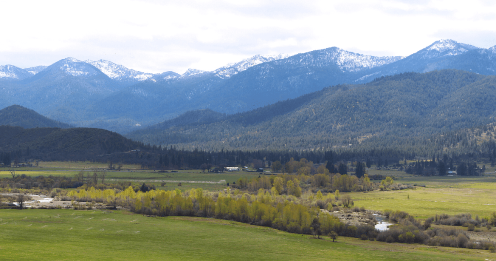 Field Note: Ensuring Flows for Fish in the Shasta and Scott River