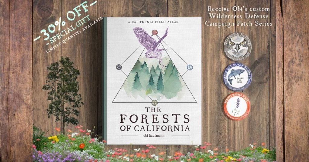 The Forests of California: A California Field Atlas by Obi Kaufmann