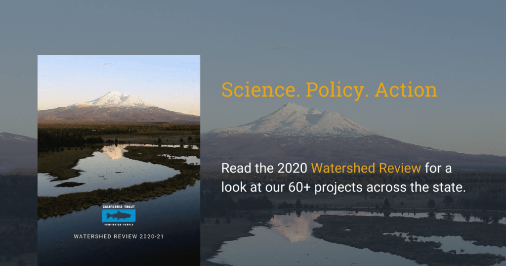 The Watershed Review 2020