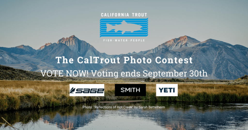 Photo Contest 2020 – Vote Now!