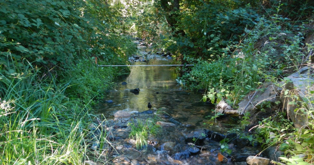 Field Note: Ensuring Flows For Fish in the Shasta and Scott River Update