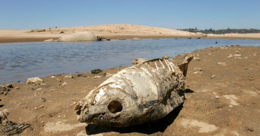 Drought Causing Water Competition in the Klamath Basin
