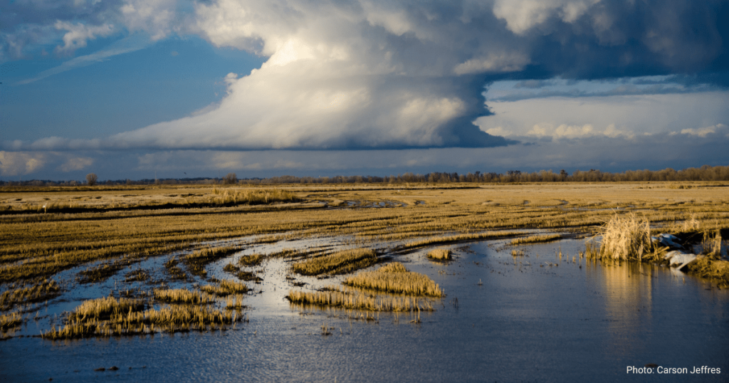 Fish food on the floodplain