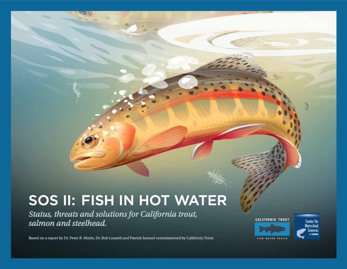 SOS II: Fish in Hot Water