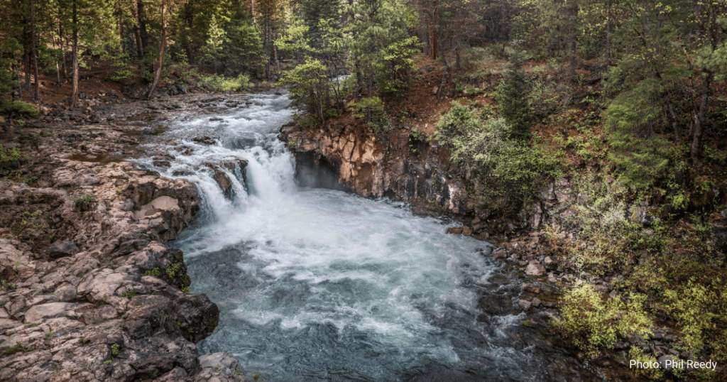 McCloud River Deserves Protection from Shasta Dam Raise