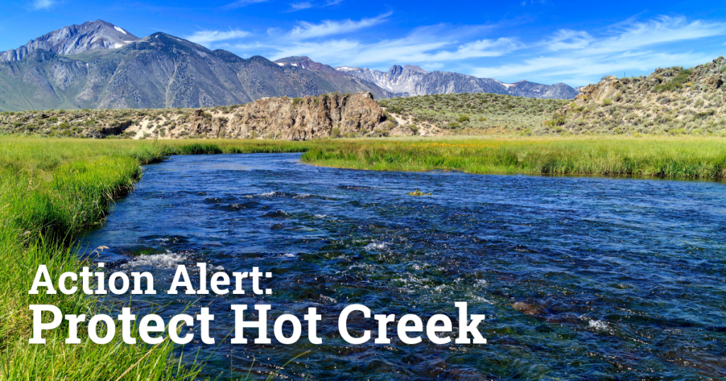 Trout Clout: Protect Hot Creek, Stop KORE Mining