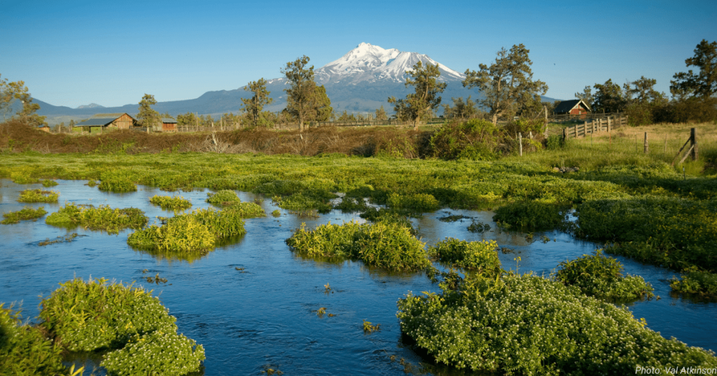 Field Note: The Importance of Partnerships with Andrew Braugh