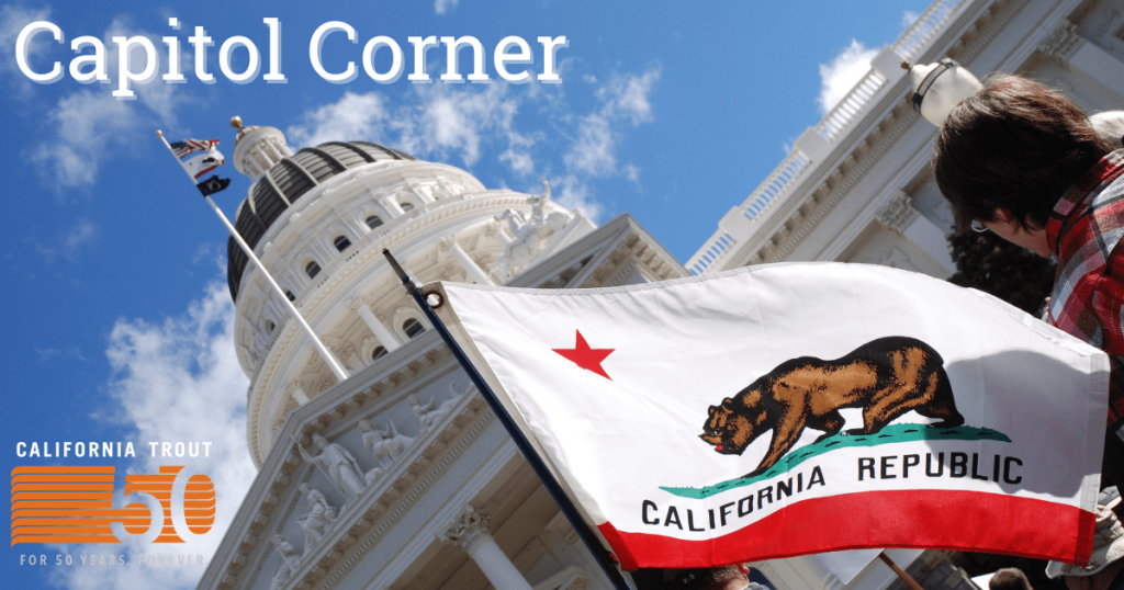 Capitol Corner: Optimism for 2022