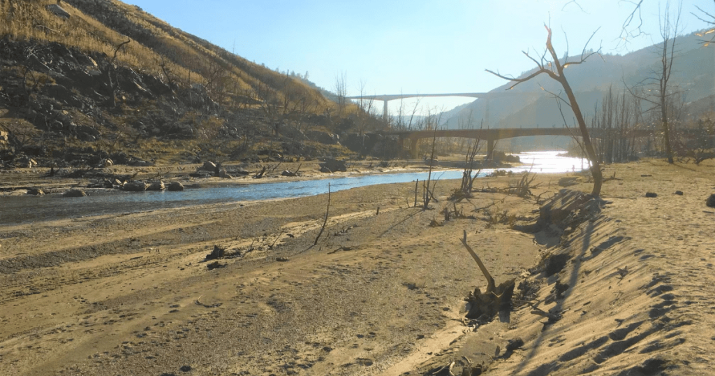 Field Report: Fishing in a Drought