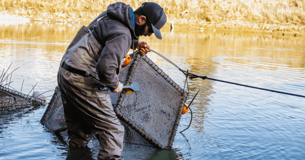 Field Note: Fish Food on the Floodplain with Jacob Montgomery