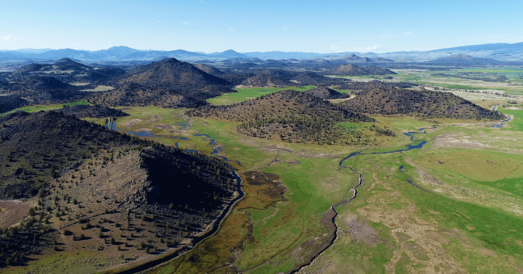 Enhancing Flows and Fish Passage for Shasta River Tributary