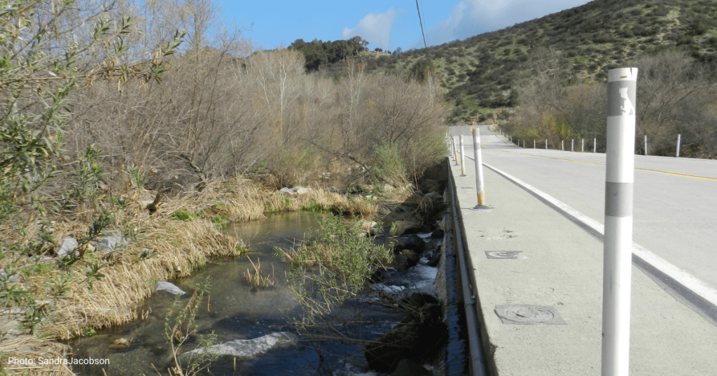 Santa Margarita River Wildlife Milestone –  Fish Passage For Endangered Steelhead
