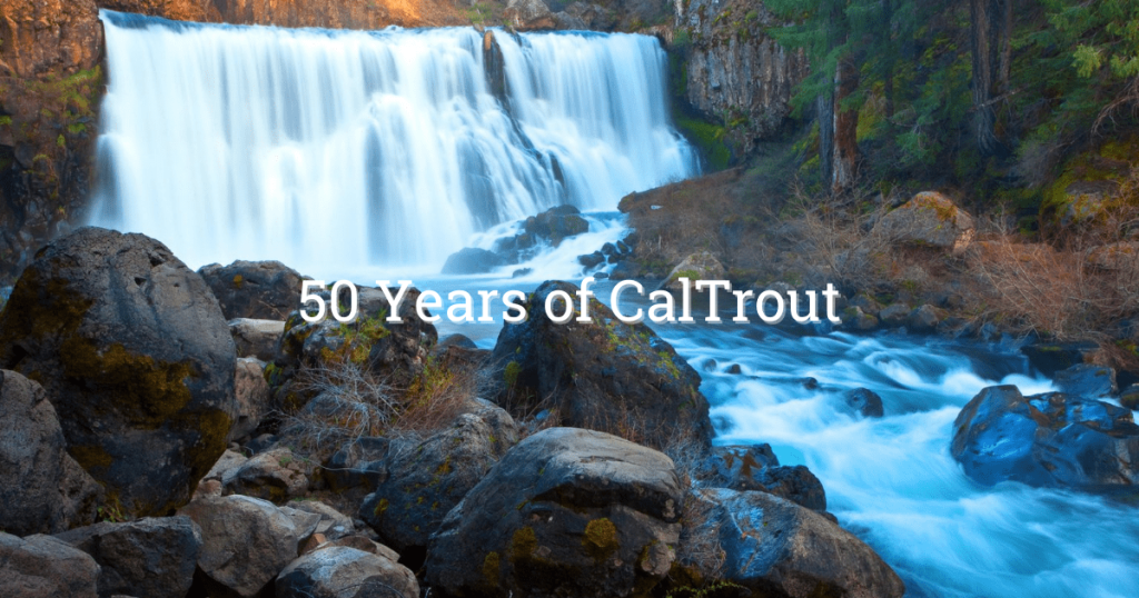 Celebrating CalTrout’s 50 Years