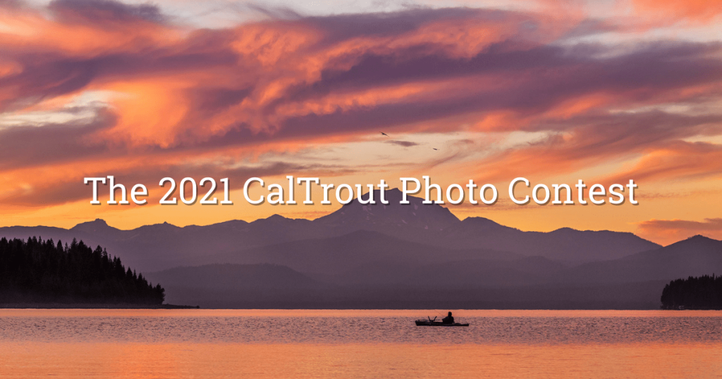 Announcing Our 2021 Photo Contest Winners!