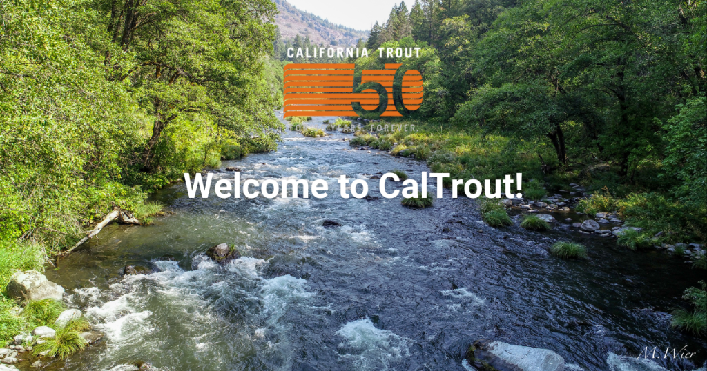 Meet Damon Goodman: CalTrout’s Shasta – Klamath Regional Director 