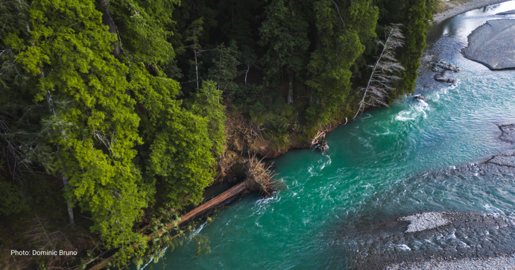 CalTrout’s North Coast Projects Receive Funding Awards from CDFW