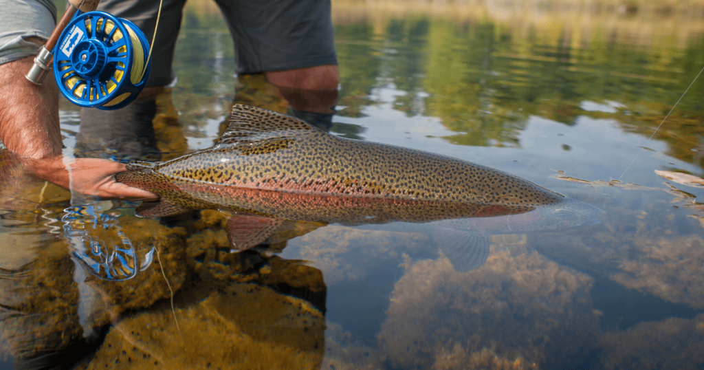 CalTrout Signs Angling for All Pledge