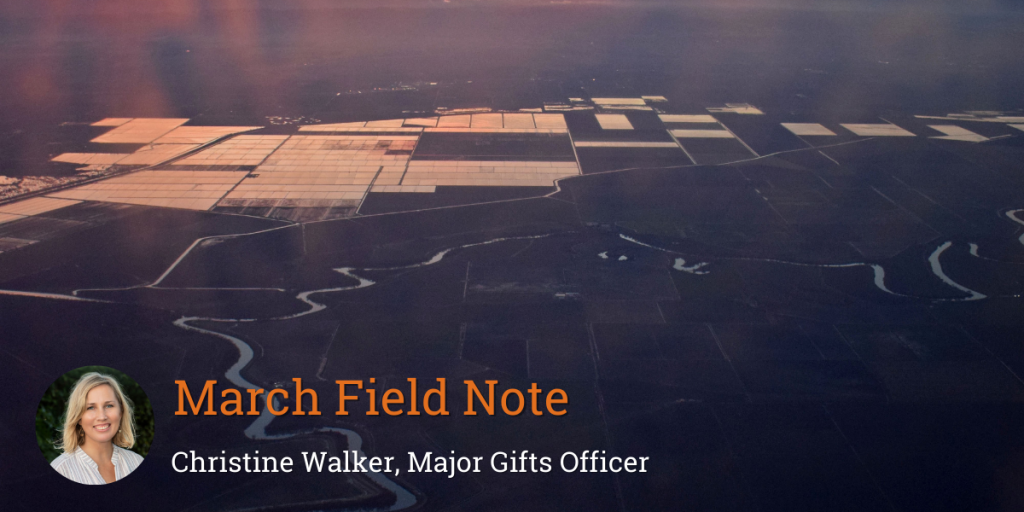 Field Note: Re-reclaiming the Mighty Sacramento